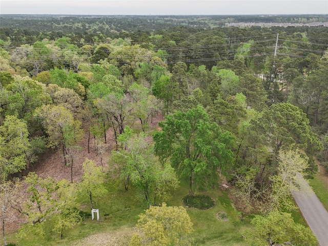 10048 Pine Springs Dr, Conroe, TX 77304 - photo 16
