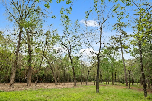 10048 Pine Springs Dr, Conroe, TX 77304 - photo 2
