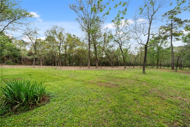 10048 Pine Springs Dr, Conroe, TX 77304 - photo 1