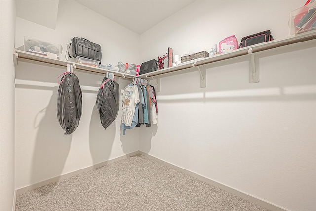 1815 Sandy Trail Ln, Rosenberg, TX 77469 - walk in closet with carpet floors