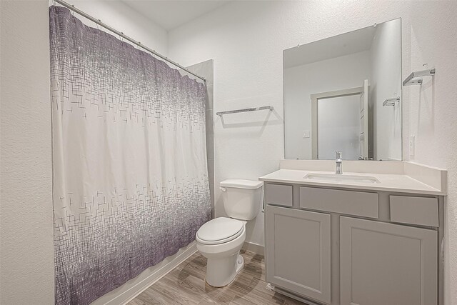 1815 Sandy Trail Ln, Rosenberg, TX 77469 - bathroom featuring vanity, wood finished floors, a textured wall, and a shower with shower curtain