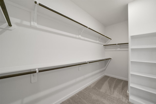 19358 Poppy Village Cir, Magnolia, TX 77355 - spacious closet featuring carpet flooring