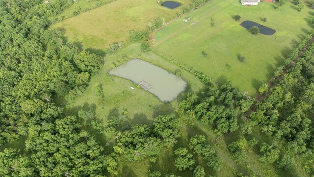 12750 County Road 557, Alvin, TX 77511 - photo 38