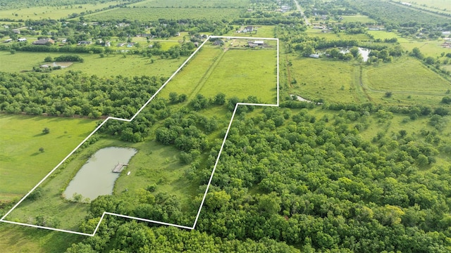 12750 County Road 557, Alvin, TX 77511 - photo 35