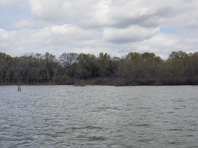 159 Lcr 890, Jewett, TX 75846