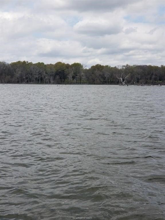 159 Lcr 890, Jewett, TX 75846