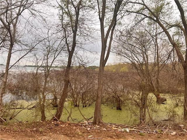 159 Lcr 890, Jewett, TX 75846