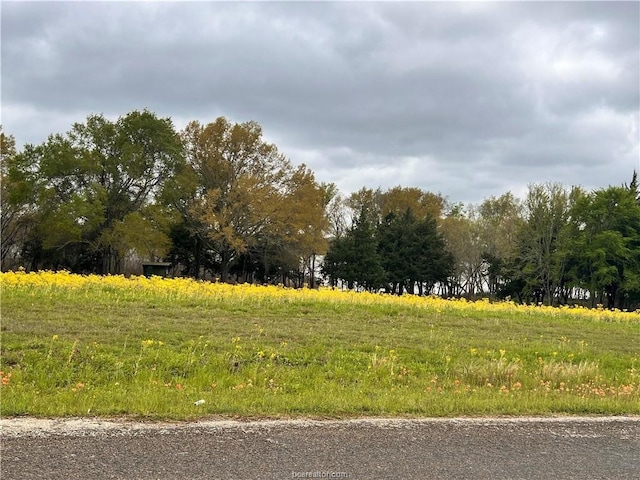 159 Lcr 890, Jewett, TX 75846