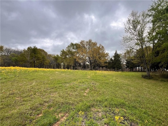 159 Lcr 890, Jewett, TX 75846