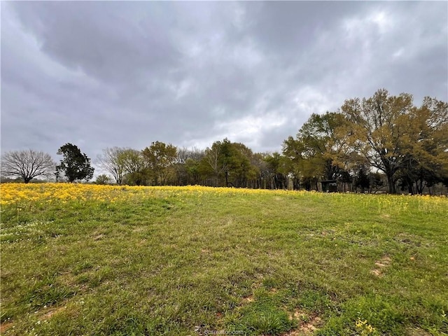 159 Lcr 890, Jewett, TX 75846