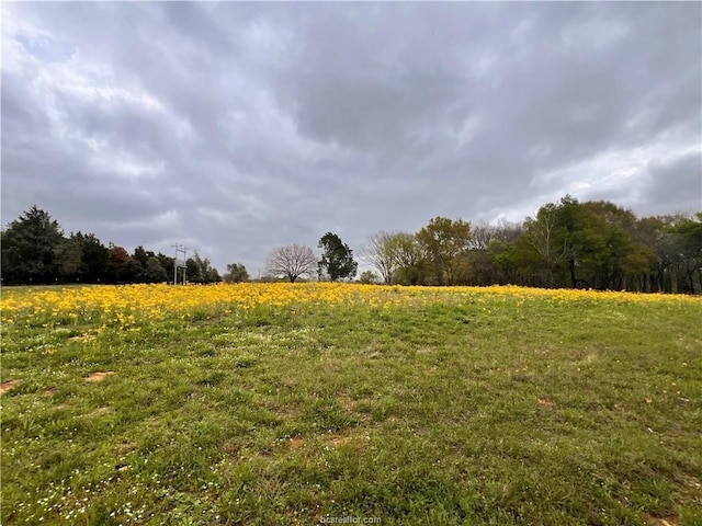 159 Lcr 890, Jewett, TX 75846