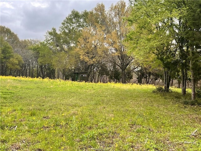 159 Lcr 890, Jewett, TX 75846