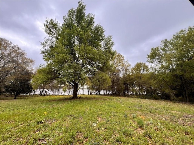 159 Lcr 890, Jewett, TX 75846