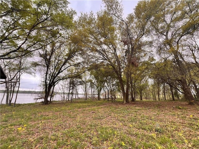 159 Lcr 890, Jewett, TX 75846