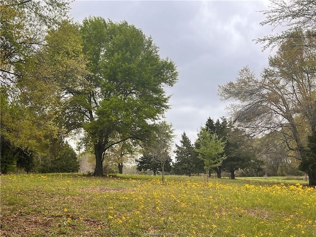 159 Lcr 890, Jewett, TX 75846