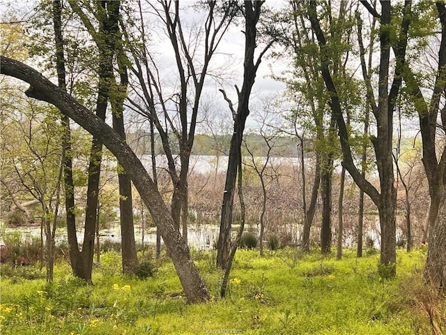 159 Lcr 890, Jewett, TX 75846