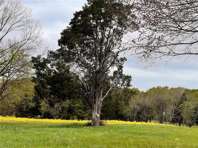 159 Lcr 890, Jewett, TX 75846