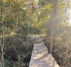 TBDLOTS37 County Road 902, Jewett, TX 75846