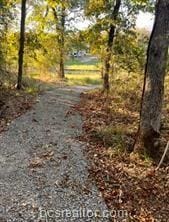 TBDLOTS37 County Road 902, Jewett, TX 75846