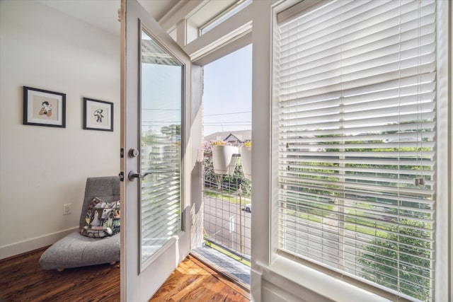 1422 Rosedale St, Houston, TX 77004 - entryway featuring french doors, plenty of natural light, and wood finished floors