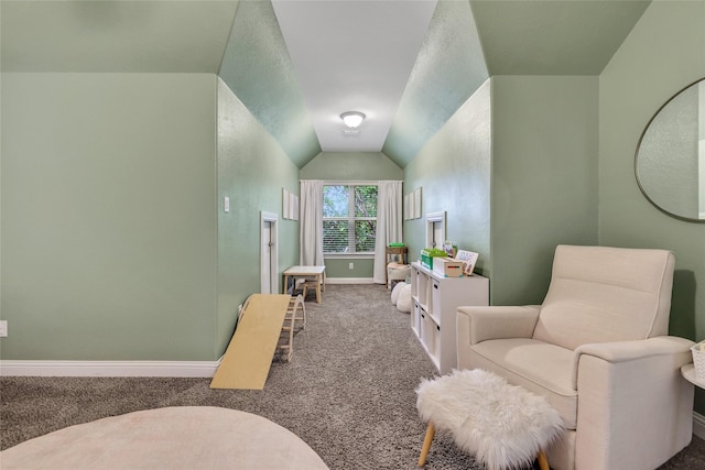 1002 Shepherd Oaks Dr, Houston, TX 77018 - bathroom with baseboards and lofted ceiling