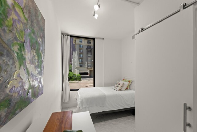 5555 Del Monte Dr Unit T24, Houston, TX 77056 - bedroom featuring a barn door