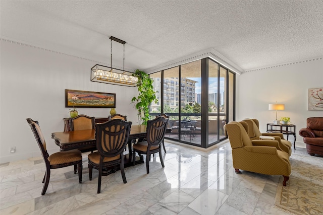 5555 Del Monte Dr Unit T24, Houston, TX 77056 - dining room with a wall of windows, a textured ceiling, and a city view