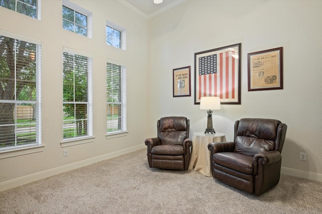 5222 Arcadia Glen Ln, Katy, TX 77494 - sitting room with plenty of natural light, carpet floors, crown molding, and a towering ceiling