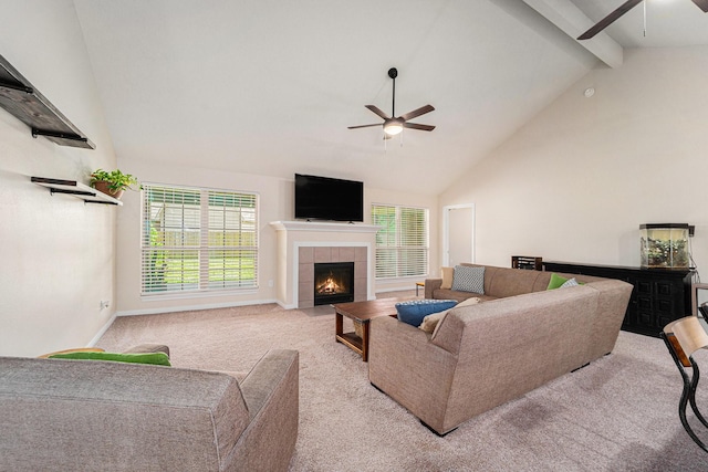 3323 Patagonia St, League City, TX 77573 - photo 15