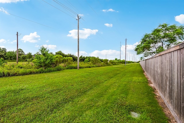 14062 Dunsmore Landing Dr, Houston, TX 77059 - view of green lawn
