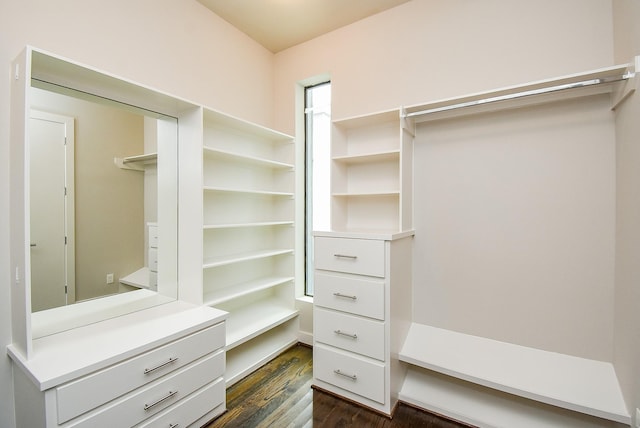 5638 Petty St Unit B, Houston, TX 77007 - spacious closet featuring dark wood-style floors