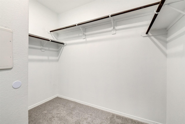 25707 Boxwood Hedge Ln, Tomball, TX 77375 - spacious closet with carpet flooring
