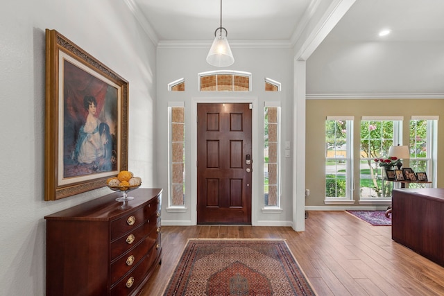 21403 Wild Jasmine Ln, Katy, TX 77450 - entrance foyer featuring crown molding and wood finished floors