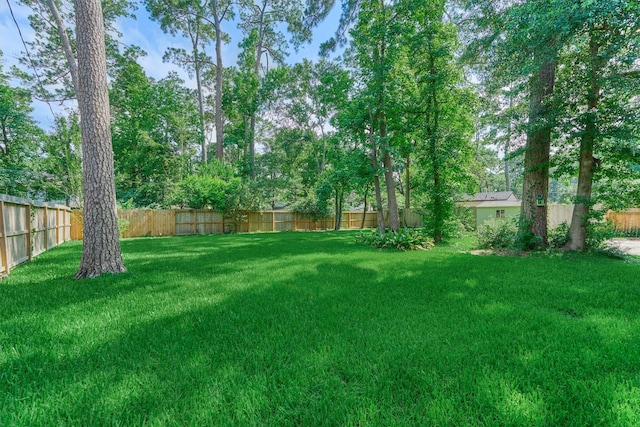 6319 Craigway Rd, Spring, TX 77389 - photo 26