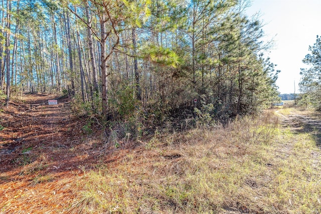 898 Taylor Lake Rd, Livingston, TX 77351