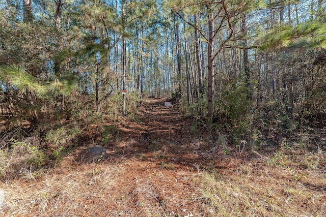 898 Taylor Lake Rd, Livingston, TX 77351