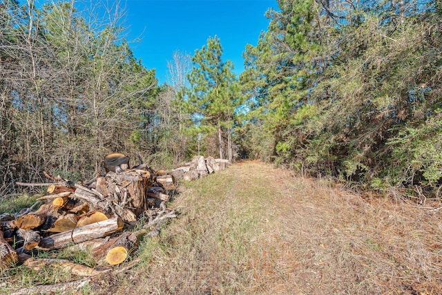 898 Taylor Lake Rd, Livingston, TX 77351
