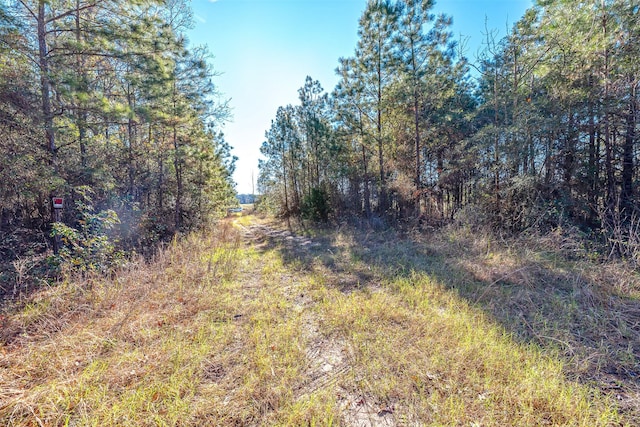898 Taylor Lake Rd, Livingston, TX 77351