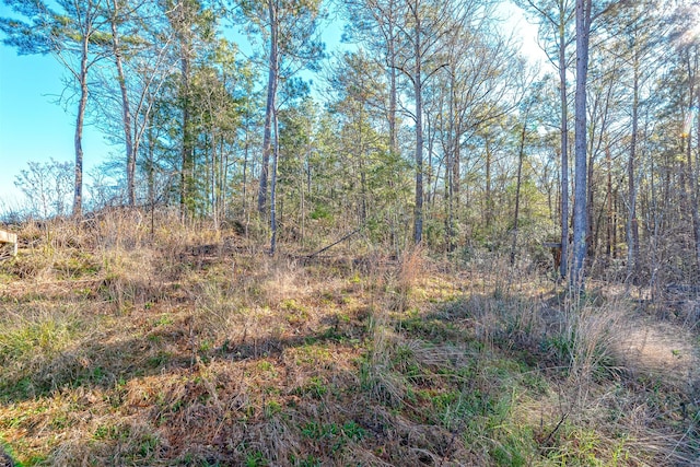 898 Taylor Lake Rd, Livingston, TX 77351