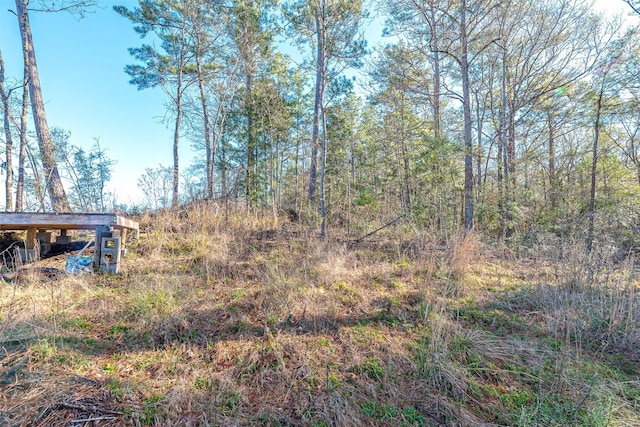 898 Taylor Lake Rd, Livingston, TX 77351