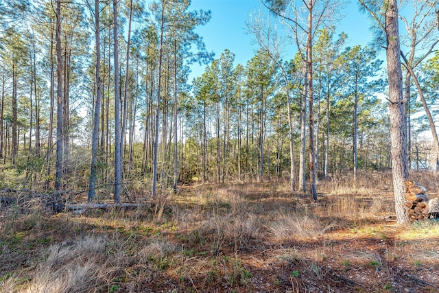 898 Taylor Lake Rd, Livingston, TX 77351