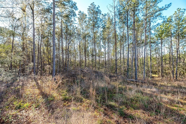 898 Taylor Lake Rd, Livingston, TX 77351