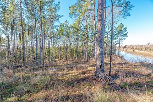 898 Taylor Lake Rd, Livingston, TX 77351