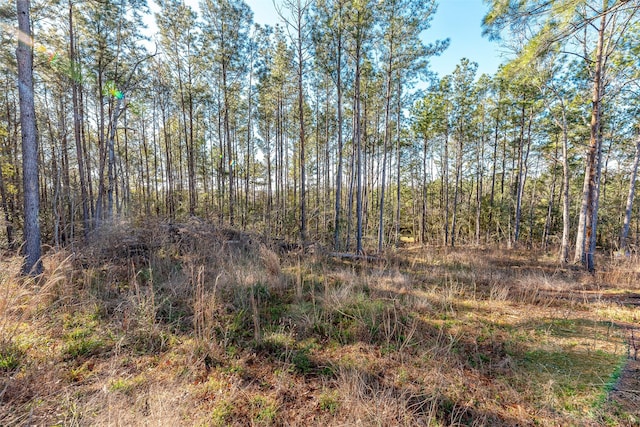 898 Taylor Lake Rd, Livingston, TX 77351