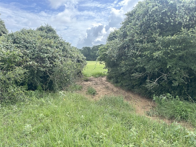 TBD Kerr Rd, Hempstead, TX 77445