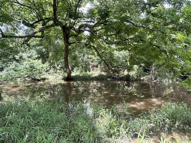 TBD Kerr Rd, Hempstead, TX 77445