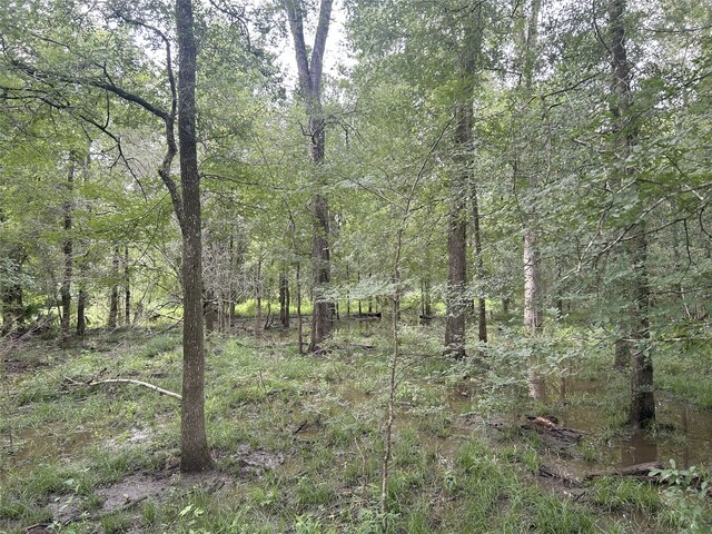 TBD Kerr Rd, Hempstead, TX 77445