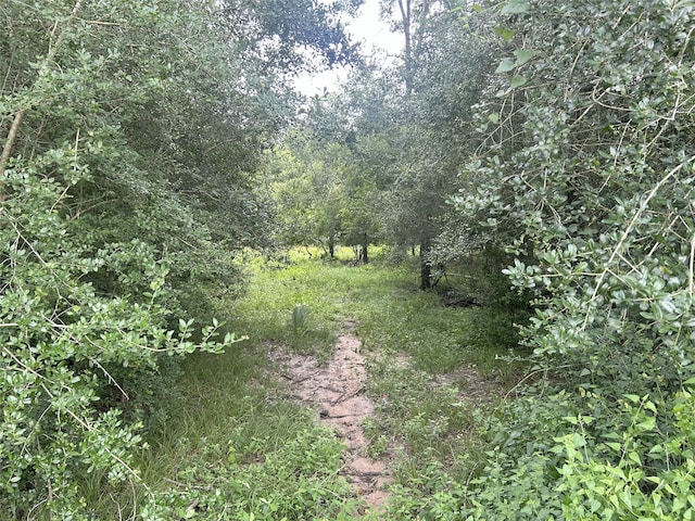 TBD Kerr Rd, Hempstead, TX 77445