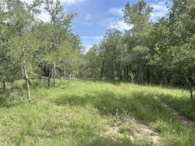TBD Kerr Rd, Hempstead, TX 77445