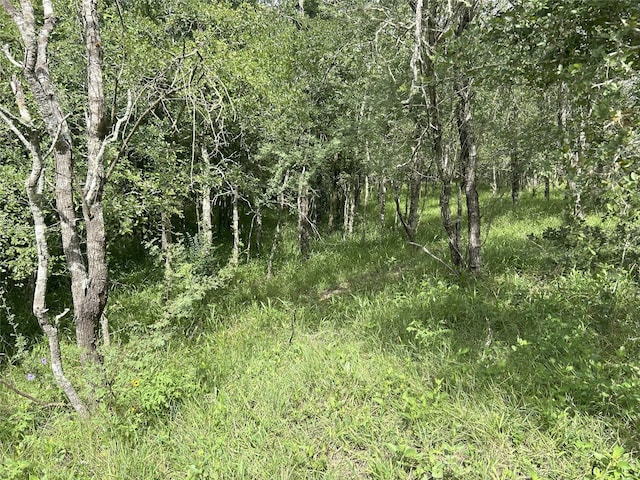 TBD Kerr Rd, Hempstead, TX 77445